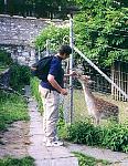 JGR feeding deer