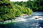 Rhein above falls