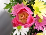flower image 3